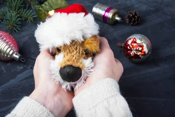 Vacances chien de Noël symbolique — Photo