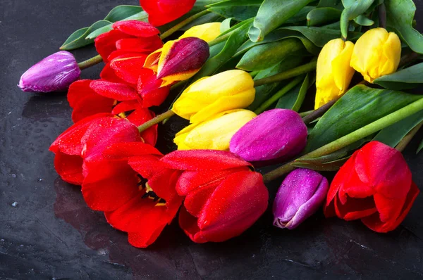 Bouquet de tulipes printanières — Photo