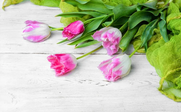 Bukett av vårens tulpaner — Stockfoto