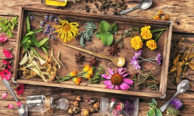 Ahşap kutusunda şifalı otlar