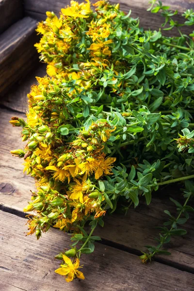 Букет цвітіння лікарської трави — стокове фото
