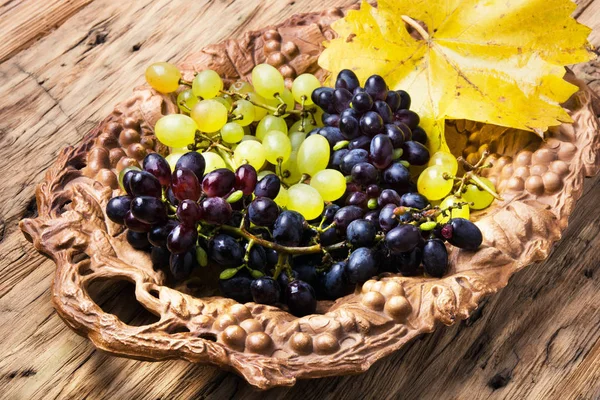 Hösten druvor på bricka — Stockfoto