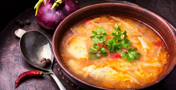 Oekraïense nationale voedsel-borsch — Stockfoto