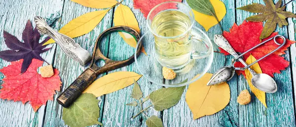 Šálek čaje s podzimními listy — Stock fotografie