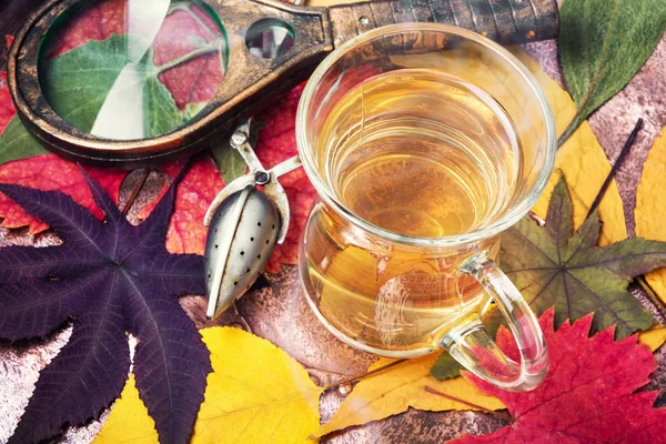Taza de té con hojas de otoño — Foto de Stock