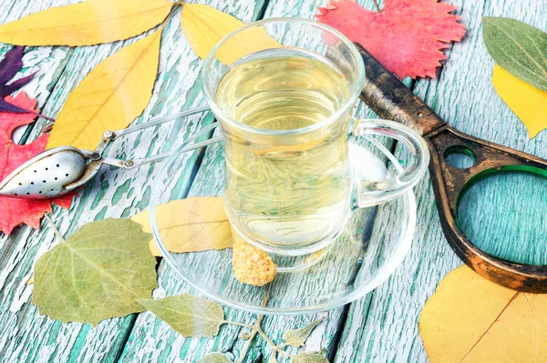 秋茶と秋の組成 — ストック写真