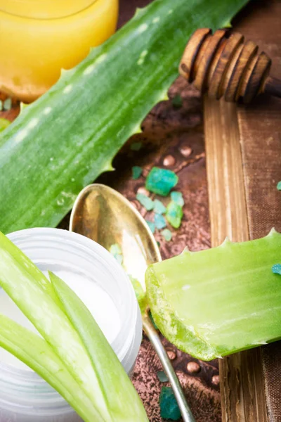 Planta de aloe vera —  Fotos de Stock