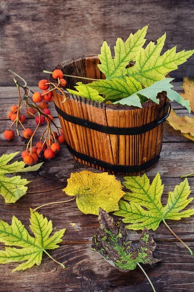 Herfst stilleven. — Stockfoto