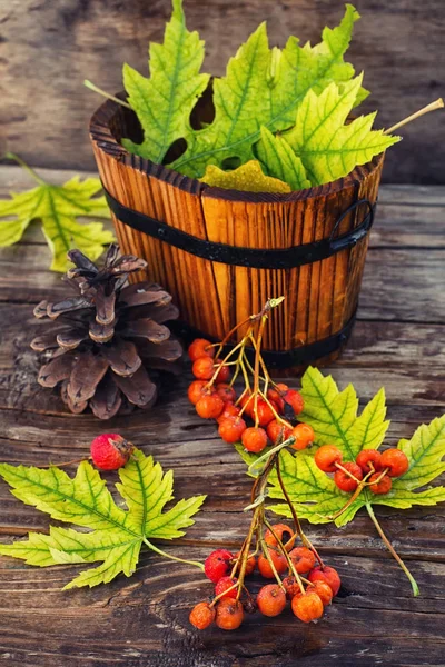 Höst stilleben. — Stockfoto