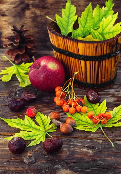 Bodegón de otoño . — Foto de Stock