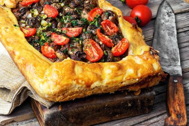 Geleneksel etli börek