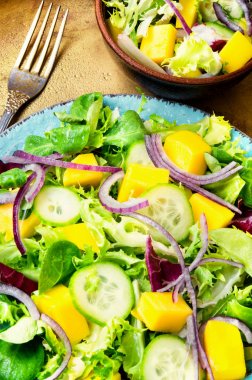 Bitki bahar salatası