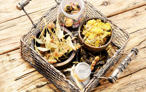 Basket with medicinal herbs — Stock Photo, Image