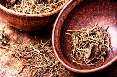 Kökleri ve köksaplar Valerian officinalis