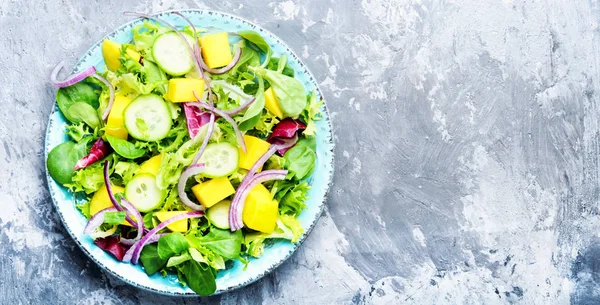 Salada vegetariana com legumes e manga — Fotografia de Stock