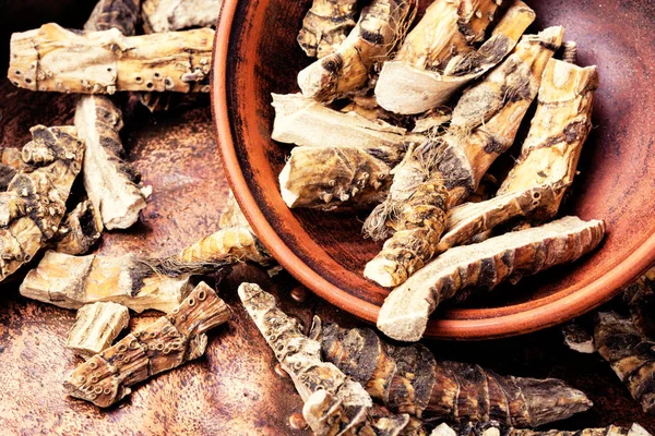 Acorus Hint kamışı kök