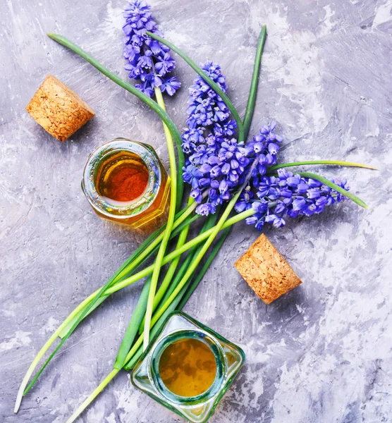 Extração de flores jacinto — Fotografia de Stock