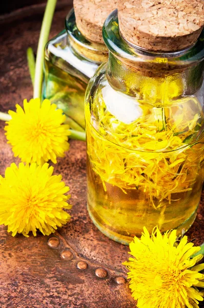 Extraction of flowers dandelions — Stock Photo, Image