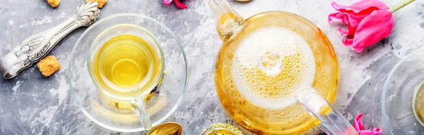 Травяной чай и весенний тюльпан — стоковое фото