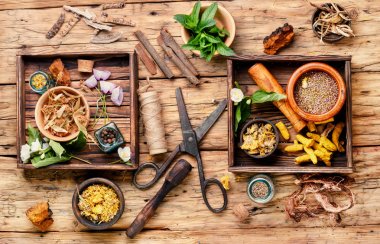 Doğal bitkisel tıp, şifalı bitkiler ve bitkisel şifalı kök. Doğal otlar tıp