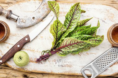 Çiğ kuş, taze otlar.