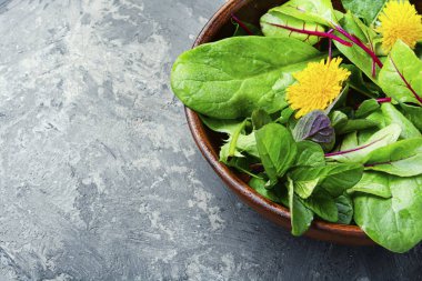 Bahar karahindiba salatası