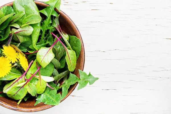 Ensalada de diente de león de primavera —  Fotos de Stock