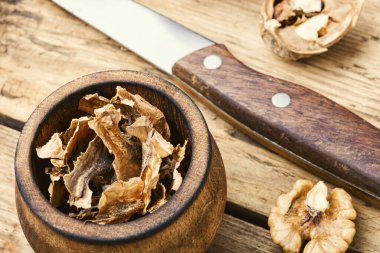 Cevizli tıbbi bölümler.