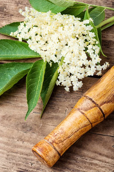 Flores de saúco sobre una mesa de madera —  Fotos de Stock