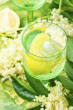 Mürver çiçeklerinden şampanya.