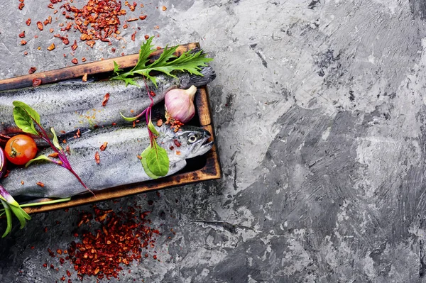 Pescado rojo salmón crudo fresco —  Fotos de Stock