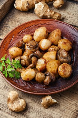 Kavrulmuş Kudüs enginarı