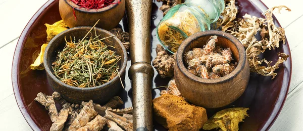 Selection healing herbs — Stock Photo, Image