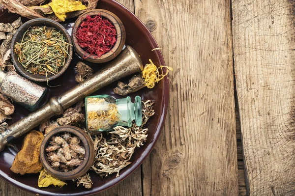 Set healing herbs — Stock Photo, Image