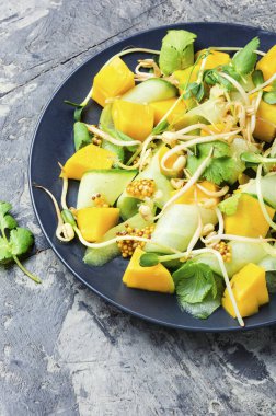 Mangolu bahar salatası, salatalık ve filizlenen bitkiler