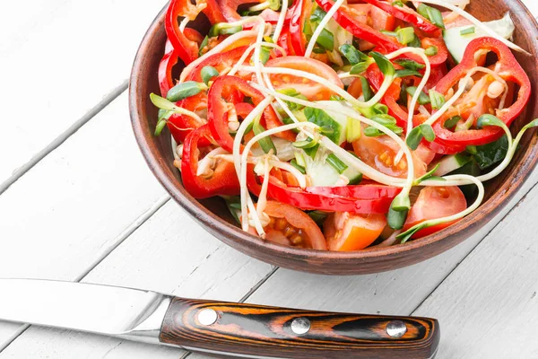 Spring Vegetable Salad Sunflower Sprouts Fresh Vegetable Salad Plate — Stock Photo, Image