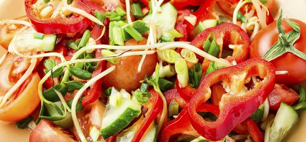 Salada Legumes Primavera Com Brotos Girassol Salada Com Vegetais Frescos — Fotografia de Stock