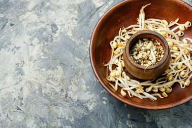 Kuru yeşil fasulye ve lahanaları aygır ya da mung.Yeşil gram filizlenmiş tohumlar.