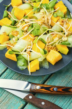 Mangolu bahar salatası, salatalık ve filizlenmiş fasulye salatası.