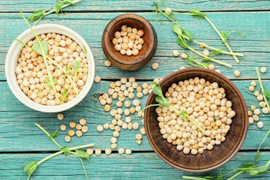 Filizlenmiş bezelye filizleri ve ahşap zemin üzerinde kuru bezelyeler.