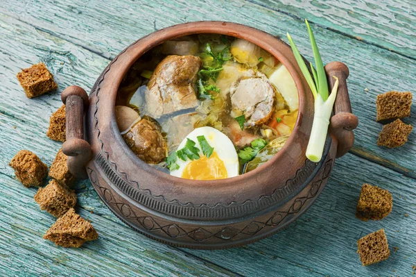 Hausgemachte Suppe Mit Fleisch Und Wurst — Stockfoto