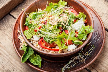 Kereviz saplı yeşil karabuğday sebze salatası, mikro yeşiller ve ahşap zemin üzerinde ıspanak. Diyet menüsü.