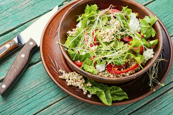Salada Dietética Com Trigo Mourisco Verde Brotado Aipo Tomate Microgreens — Fotografia de Stock