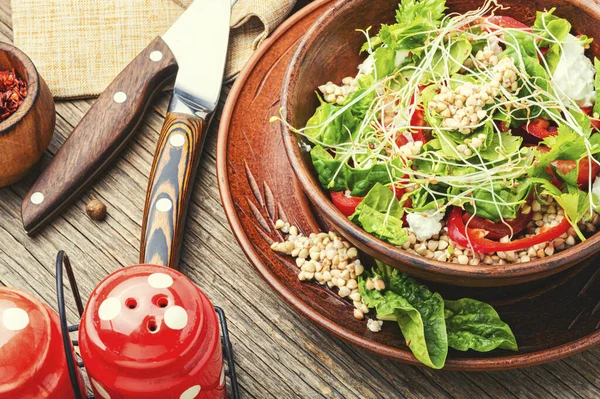 Dietsallad Med Groddat Grönt Bovete Selleri Tomat Och Mikrogrönt — Stockfoto