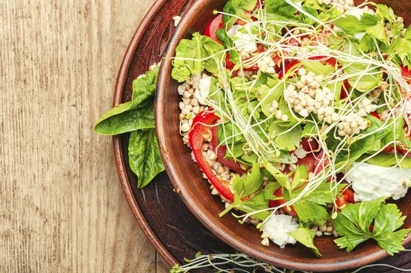 Dieetsalade Met Gekiemde Groene Boekweit Selderij Tomaat Micro Greens — Stockfoto