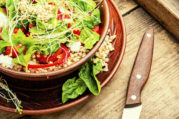 Dieetsalade Met Gekiemde Groene Boekweit Selderij Tomaat Microgreens Houten Tafel — Stockfoto