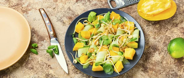 Spring Salad Mango Cucumber Sprouts Mustard Long Banner — Stock Photo, Image