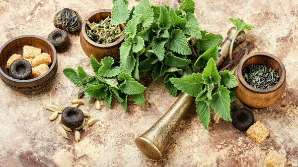 Preparato Deliziosa Tisana Con Foglia Melissa — Foto Stock