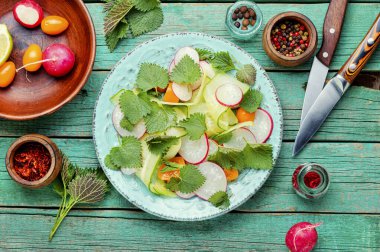 Isırgan otlu sağlıklı sebze salatası. Sağlıklı gıda konsepti.