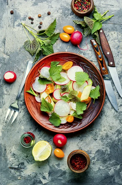 토마토 곁들인 샐러드 영양분 Spring Salad Vegetarian Food — 스톡 사진